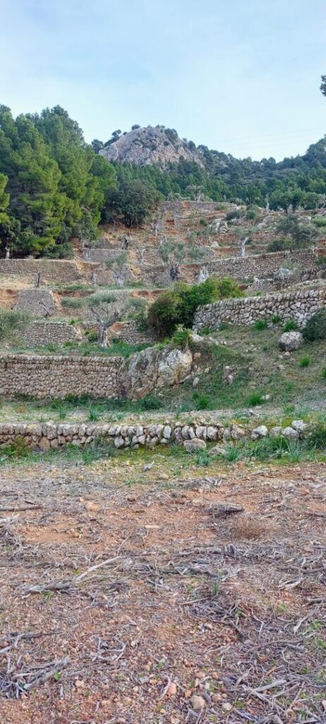 mallorca_gr221_zeny_na_horach_horsalky