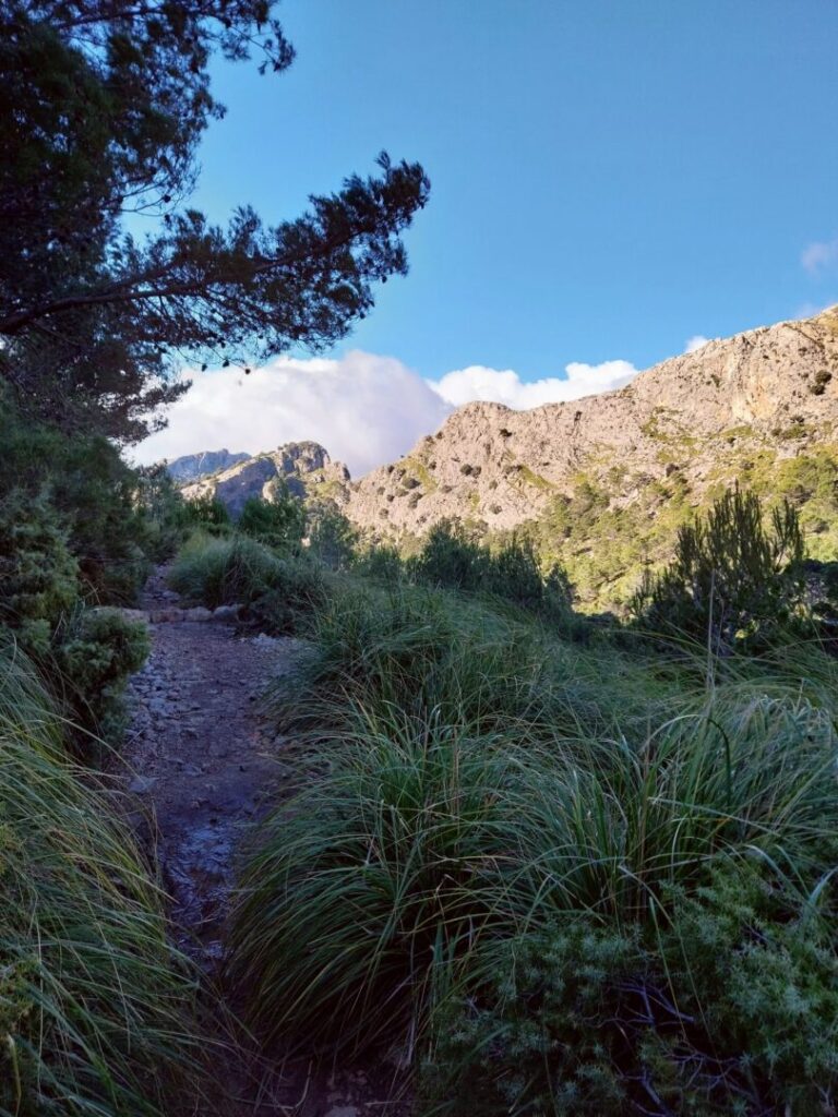 mallorca_gr221_zeny_na_horach_horsalky