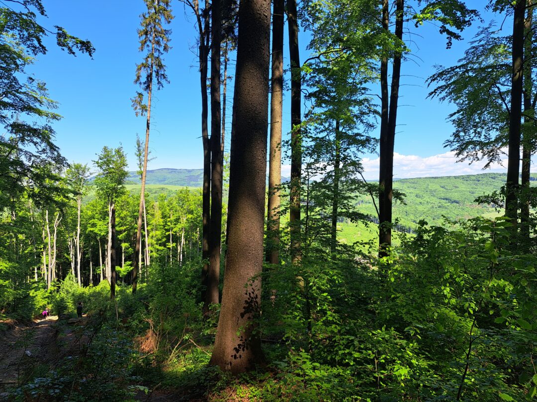 Biele_Karpaty_horsalky