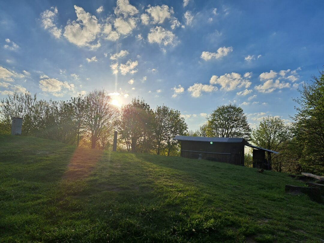 Biele_Karpaty_Velky_Lopenik_horsalky