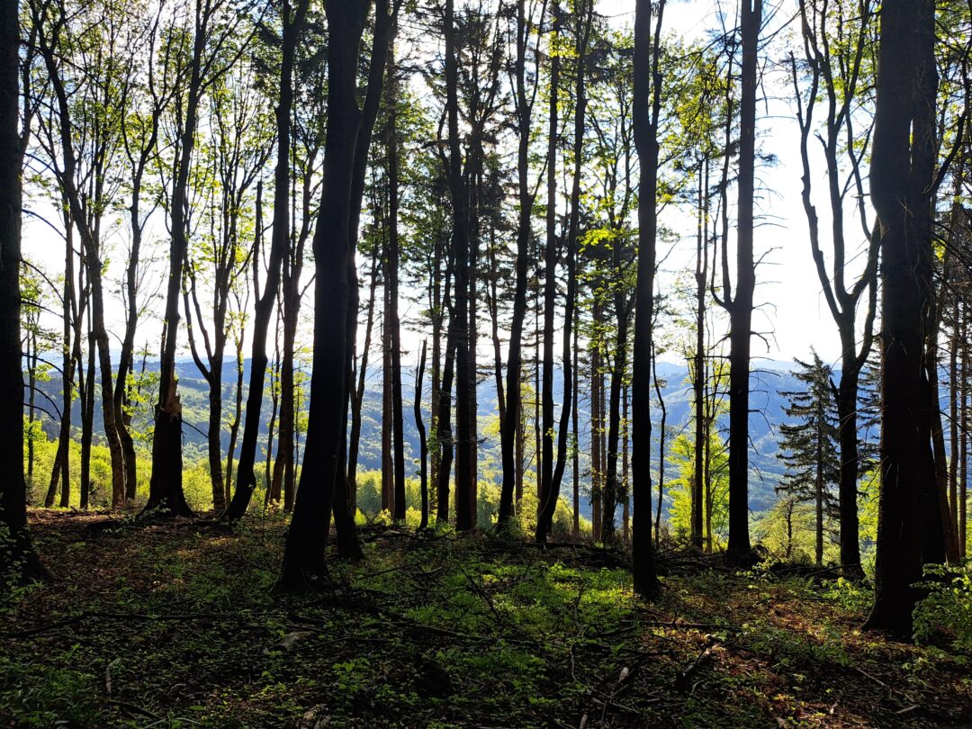 Biele_Karpaty_horsalky