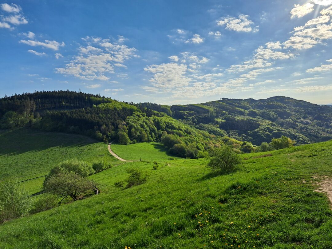 Biele_Karpaty_horsalky