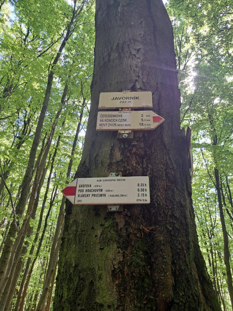 Biele_Karpaty_Javornik_horsalky
