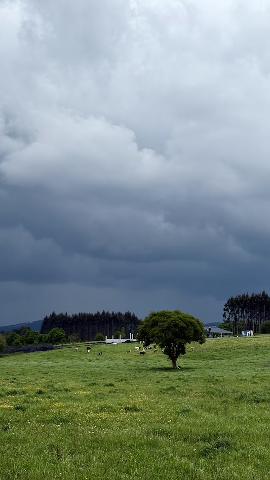 camino_primitivo