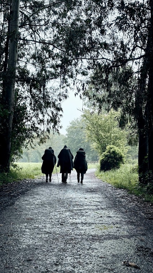 camino_primitivo